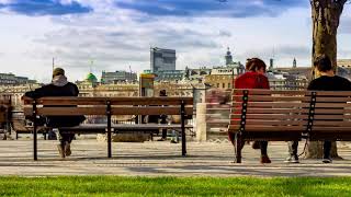 Marlin Limehouse Website video