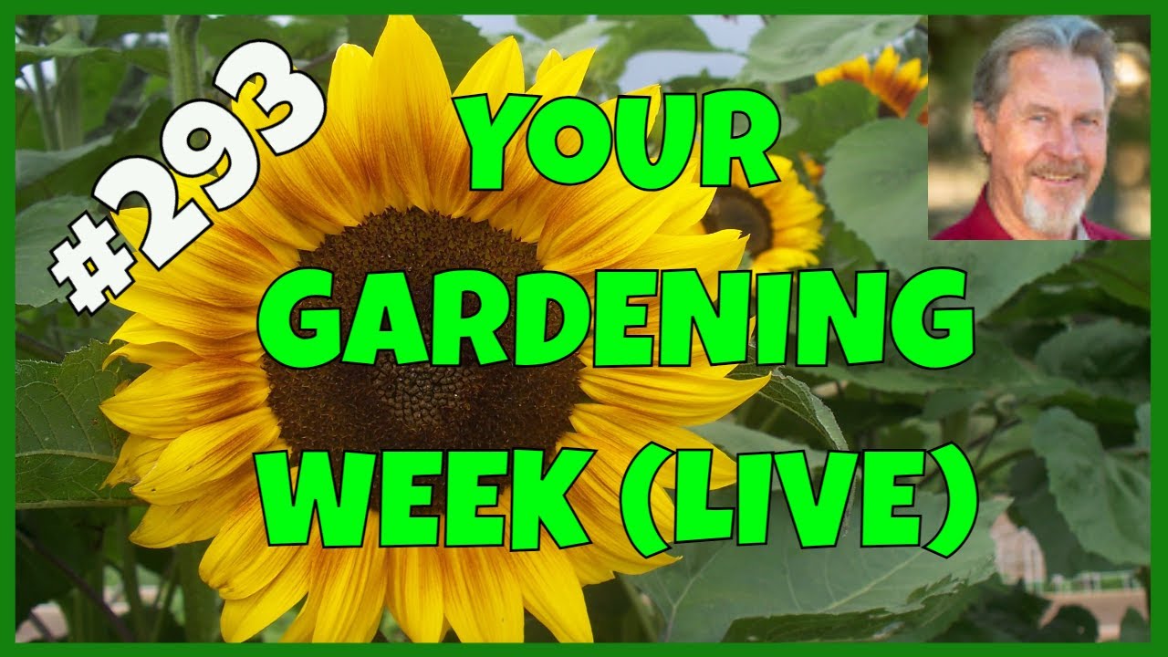 When to Start Your Vegetable Garden (Q&A)