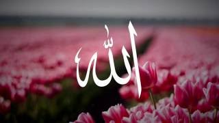 Download lagu Talib Al Habib - Light of Dawn (Lyrics) mp3