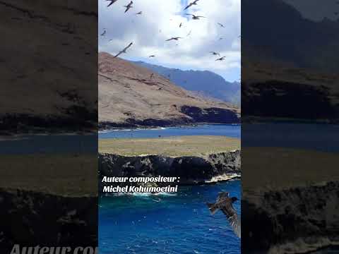 Chanson "O tara o te manu" de kanahau trio