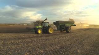 Harvest time, Soybean 2014