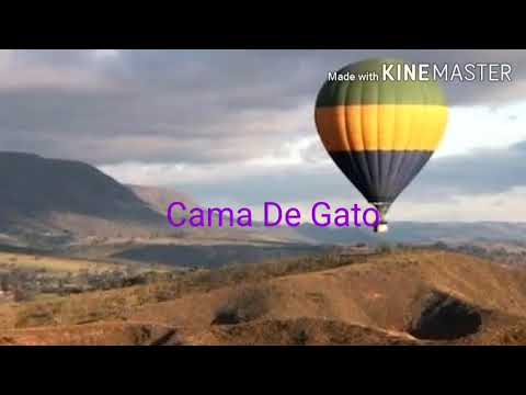 Cama De Gato Vinhetas De Intervalo 2016