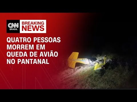 Avião cai e deixa quatro mortos no Pantanal de Mato Grosso do Sul | CNN NOVO DIA