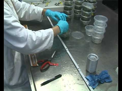 Exkursion im Versuchslabor