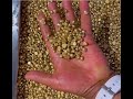 Kibali Gold Africa