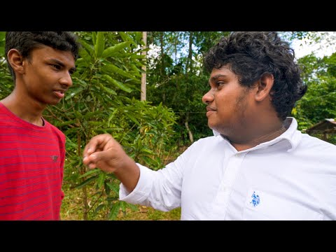 කේක් ප්‍රශ්නේ 💣