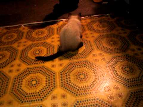 Solange and the paper