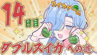 【 スイカゲーム 】14日目！まだ、まだ終わってないですよ【 篠宮ゆの / すぷれあ / にじさんじ 】