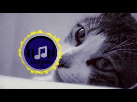 Ruchir - Take U Down Ft. KDC (MVMMALS Remix) [Trap] (1 Hour Loop)