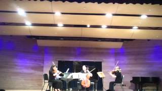 Brahms G m Piano Quartet, mvt. 1, Michelle Abraham, Diane Weisberg, Jameson D. Patte, Matthew Quayle