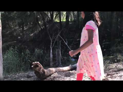 Morning Bushwalking | Ariana Nameera