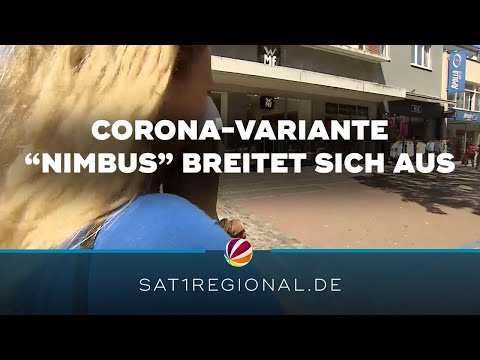 Coronavirus-Variante Nimbus: Ist Infektionswelle im Sommer zu befürchten?