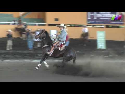 DLM278 080220 Block 2 - 14 XIV Amateur Fishing Ground -AVC- Grand Final Agustín Ramírez