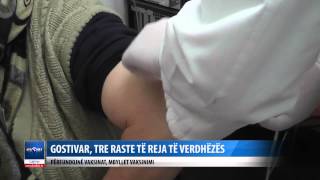 GOSTIVAR, REGJISTROHEN TRE RASTE TE REJA TE VERDHEZES