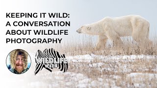 David Wilder: Keeping it Wild: A Conversation About Wildlife Photography | #BHWildlifeWeek video