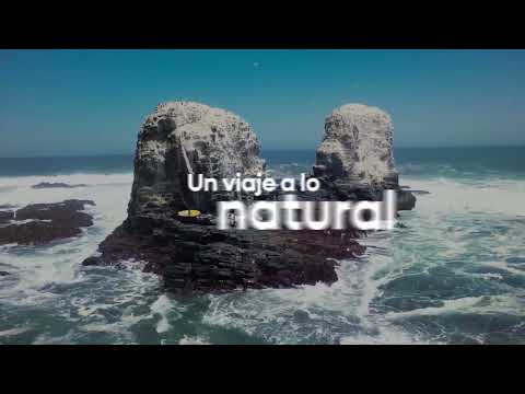 Visita la región de O'Higgins en Chile.