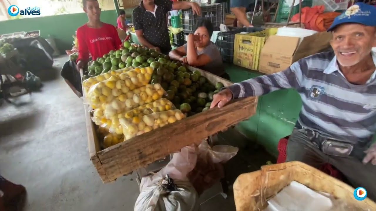 FEIRA PÚBLICA MUNICIPAL NA CIDADE DE MACAÚBAS NA BAHIA 11/01/2025