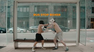 BUS STOP BOXER-EELS (UNOFFICIAL VIDEO)