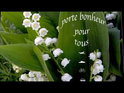 Muguet, Petite Fleur