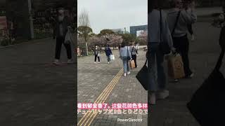 お出かけ日記〜お台場〜