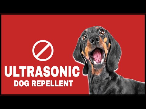 Ultrasonic Sound To Scare Dogs #dogrepellent