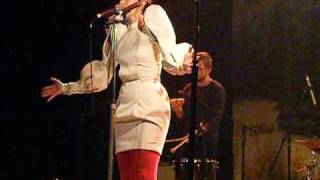 sarah blasko bird on a wire brisbane