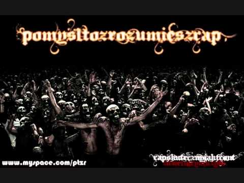 PATOLOGIA ZORGANIZOWANA 2010.wmv