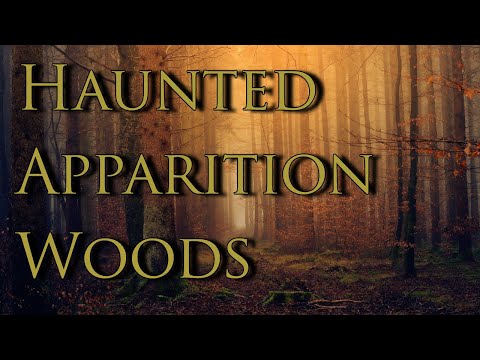 Haunted Woods: Hear The Spirits Speak