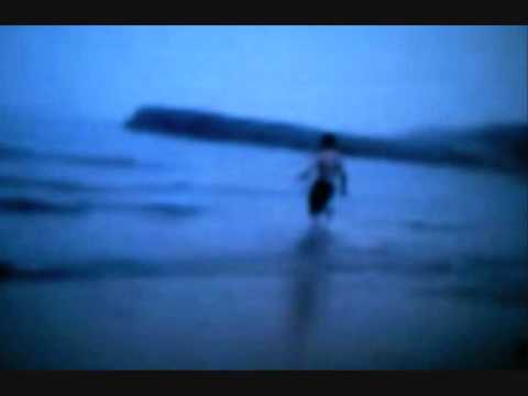 Baywatch Is Back 2009