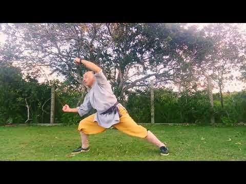 Shaolin Sun Boxing (zhao yang quan)