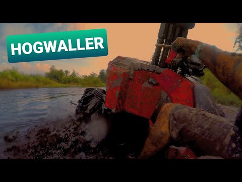 Hogwaller 10/10/2020