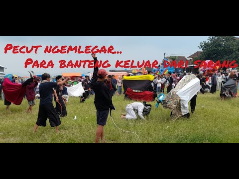 BantenganTerbaru Ngabab//Pecut NGemlegar para banteng keluar dari sarang...