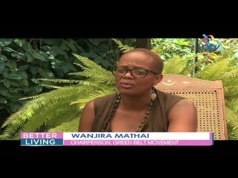 Wangari Maathai: The Green Crusader | Golden Age