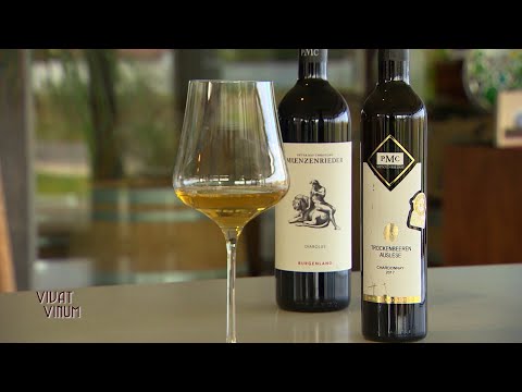 VIVAT VINUM Dez1-22  SALON Sieger Weingut PMC Münzenrieder