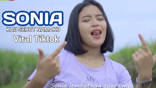 Download lagu DJ SLOW BEAT SONIA KAU SEBUT NAMAKU ( SAFIRA INEMA ) mp3
