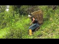 Life With Nature Video 4 Goats Dung Compost Putting In Tree Grass For Goats