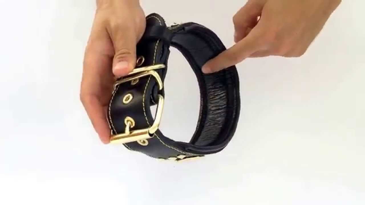 BESTIA Dog Accessories Video