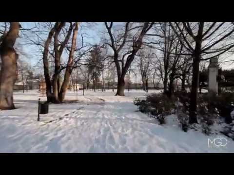 Winter Sunset in Park (Glidecam & Canon 