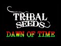 Tribal Seeds - Dawn of time - Lyrics