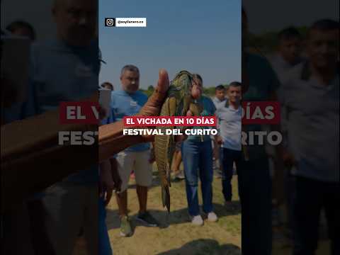 El #curito más grande en la Primavera #vichada | Capítulo 3/10🤠 #pesca #viajes #ford #llano #campo