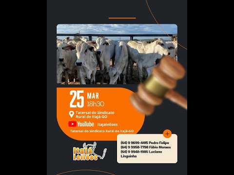 LEILAO DE GADO DA ITAJÁ LEILÔES