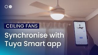Wie synchronisiert man einen Ventilator mit „Tuya Smart“