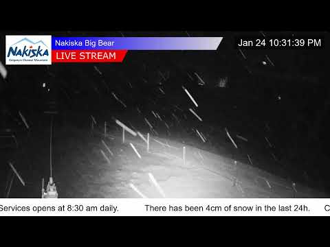 Mid Mountain Gold Chair Express