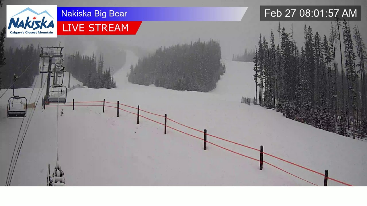 Mid Mountain Gold Chair Express