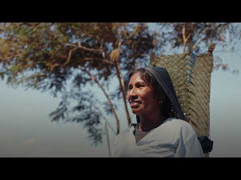 Mujeres indígenas de Amazonas: saberes ancestrales y producción para la resiliencia de comunidades
