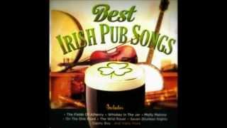 Whiskey in the jar - The Dublin city ramblers