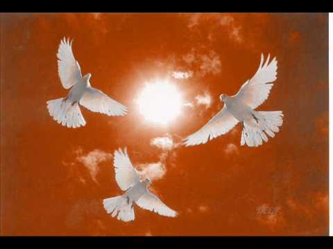 Latenta project-Time shift