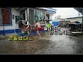[강아지] 집 마당에 묶여있는 시베리안 허스키 풀어주면 일어나는 일