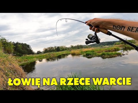 Łowienie na spinning nad rzeką Wartą 2025