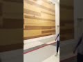 Cat Catches A Bat Mid Air